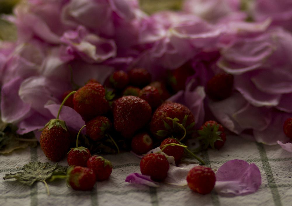Photograph by Екатерина Филина