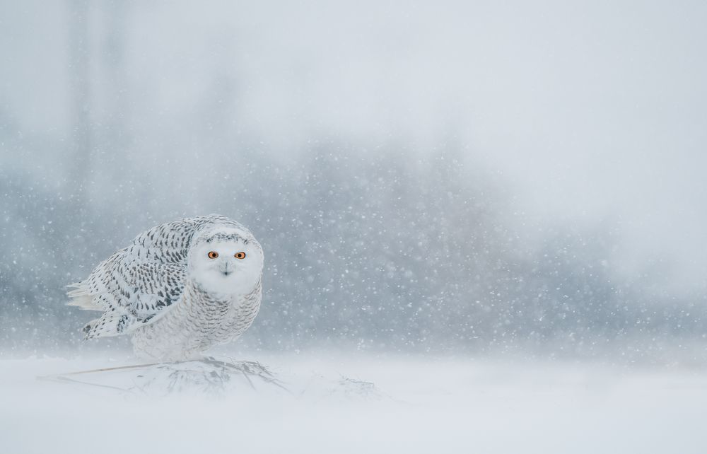 Photograph by George