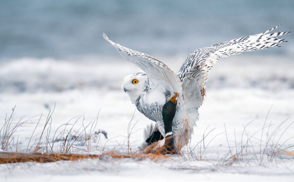 Photograph by George