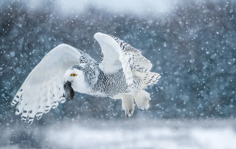 Photograph by George