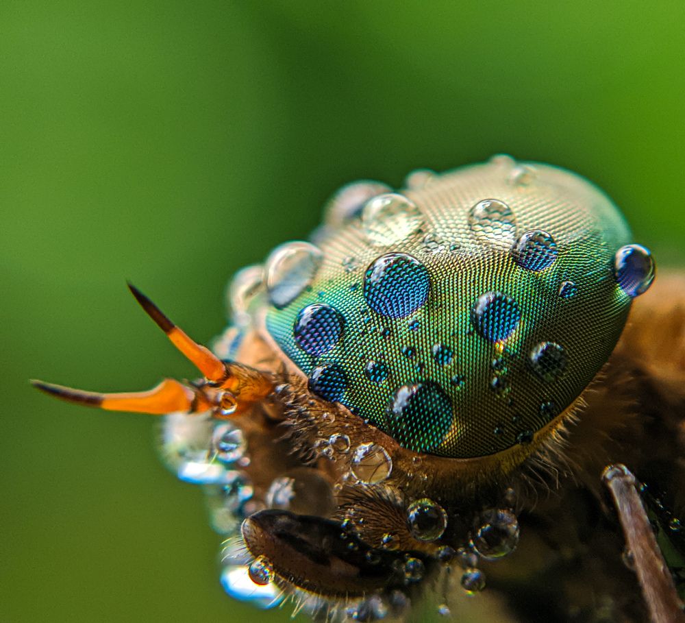 Photograph by Ajeesh A