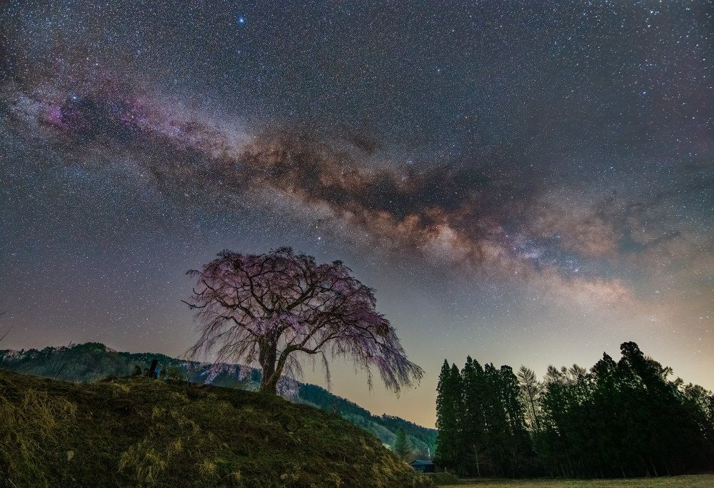 Фотография автора Nguyen Khac Tien