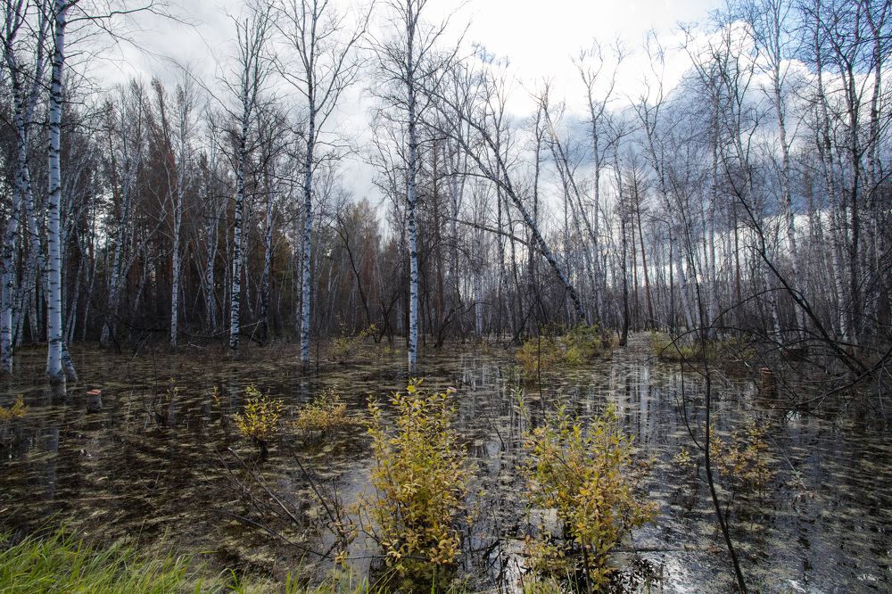 Photograph by Константин Искучеков