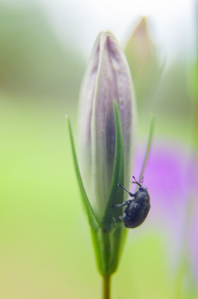 Photograph by Мария Дубова