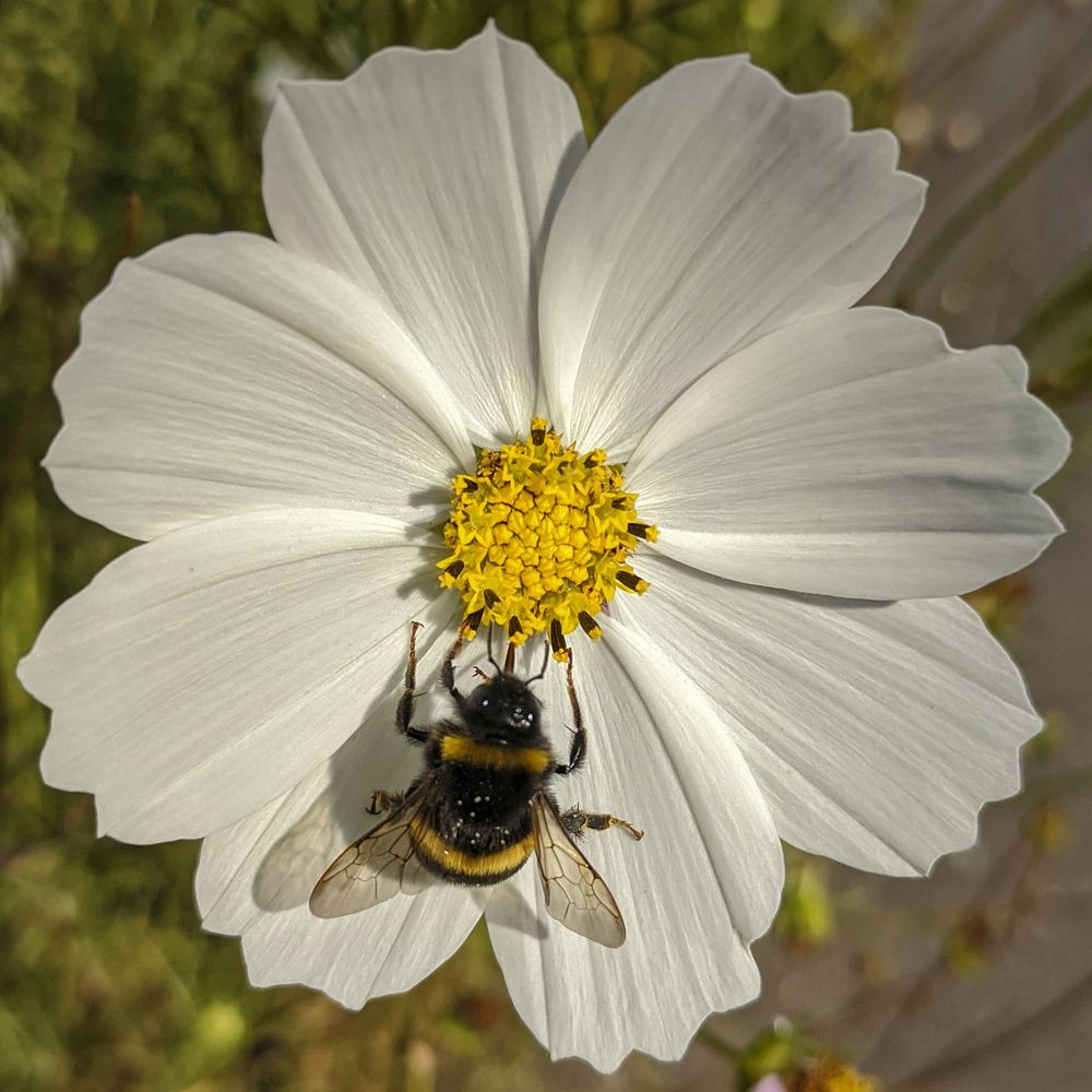 Photograph by Екатерина Рябинина