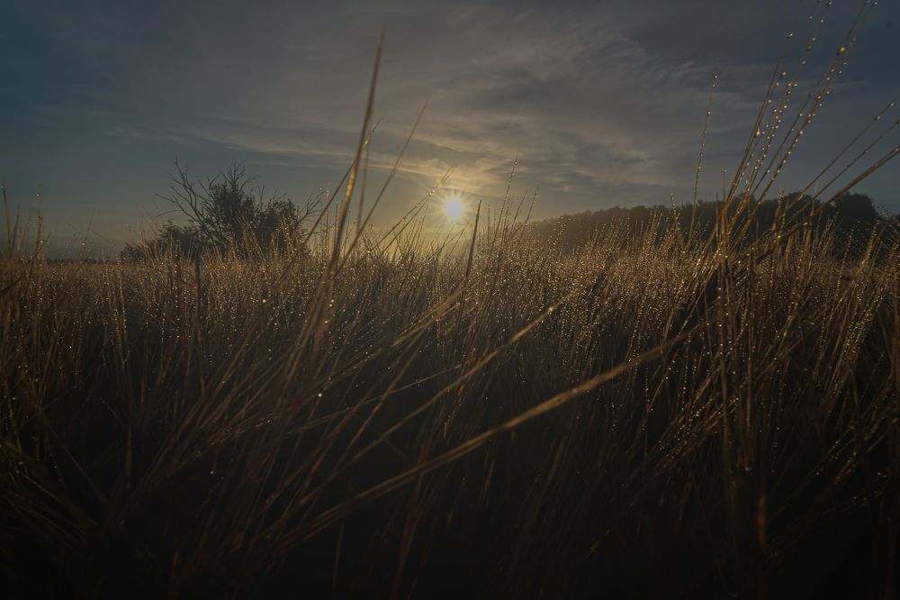 рассвет светила в димке