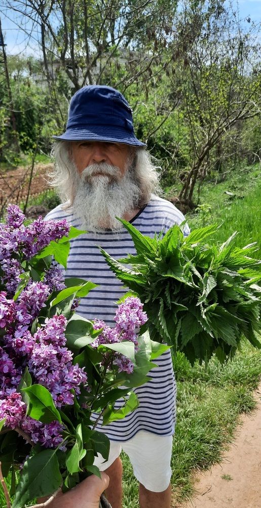 Čovek sa bradom i koprivom