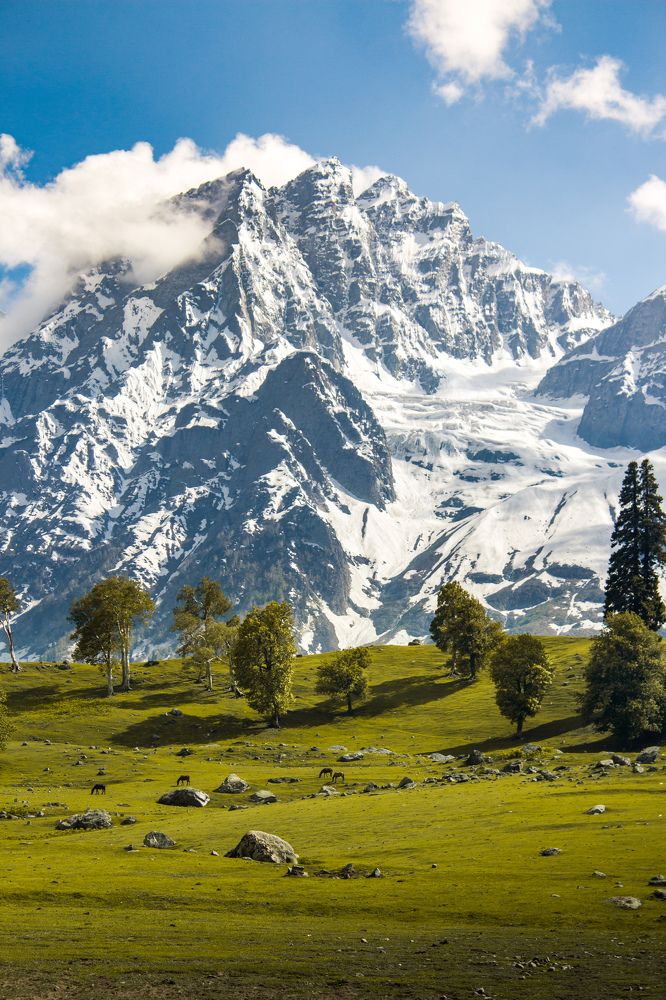 Photograph by Bhatt Muxamil