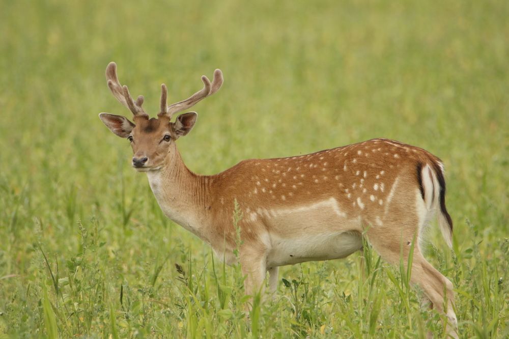 Photograph by Михаил Косяк