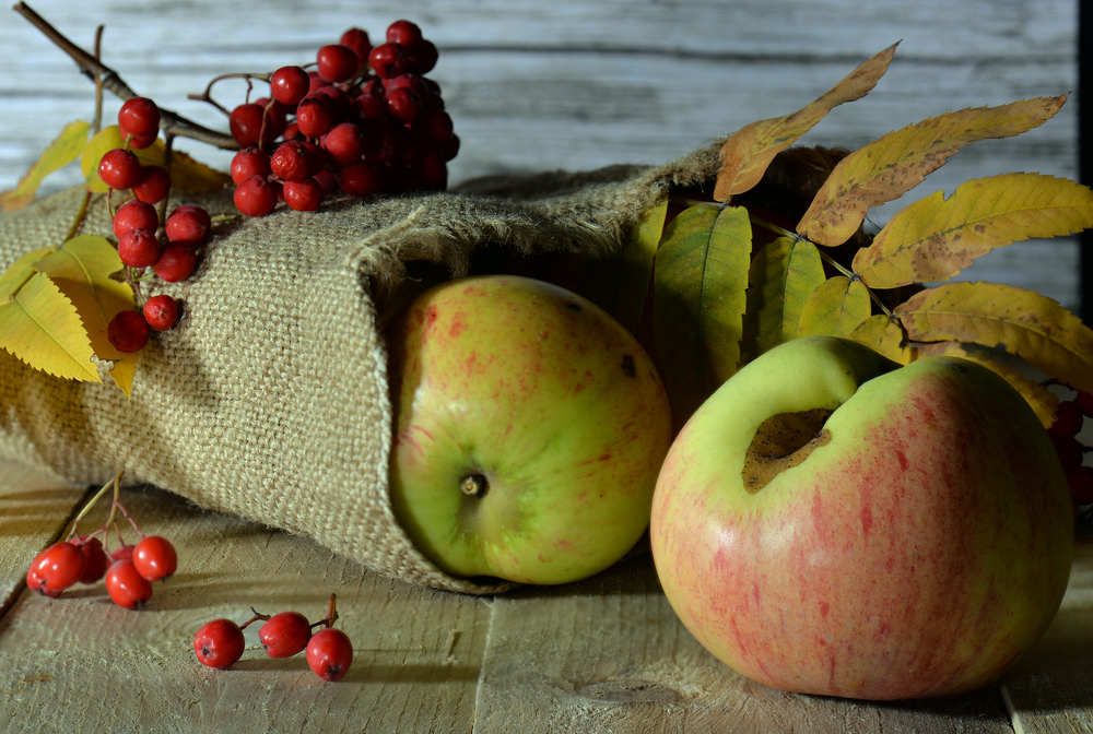 Photograph by Марина Сантарович