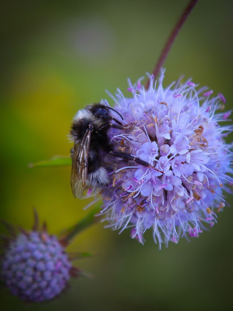 Photograph by Екатерина Слепнева