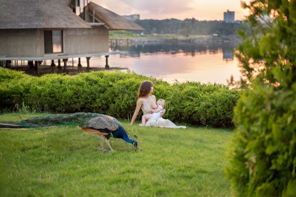 Photograph by Алина Петрашина