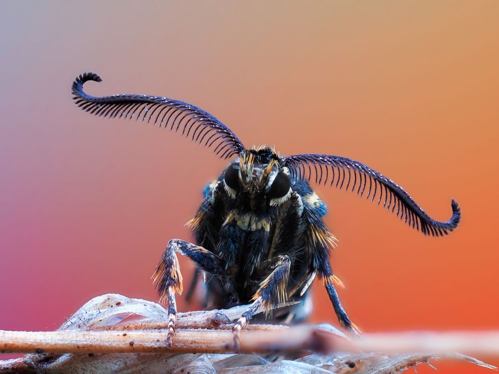 Photograph by Евгений Лукашук