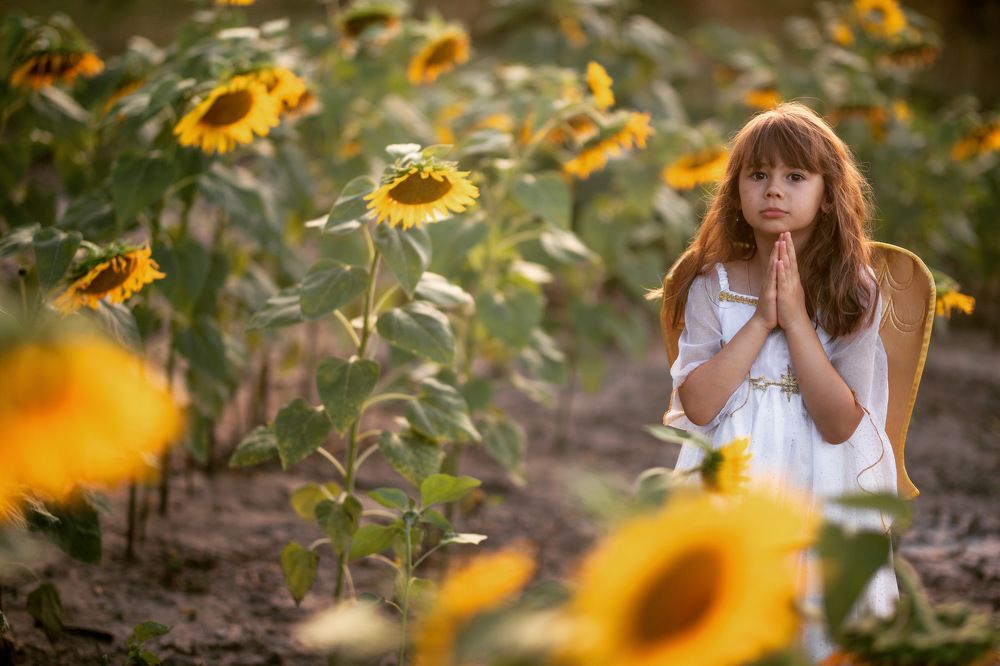 Фотография автора Cristina Donu