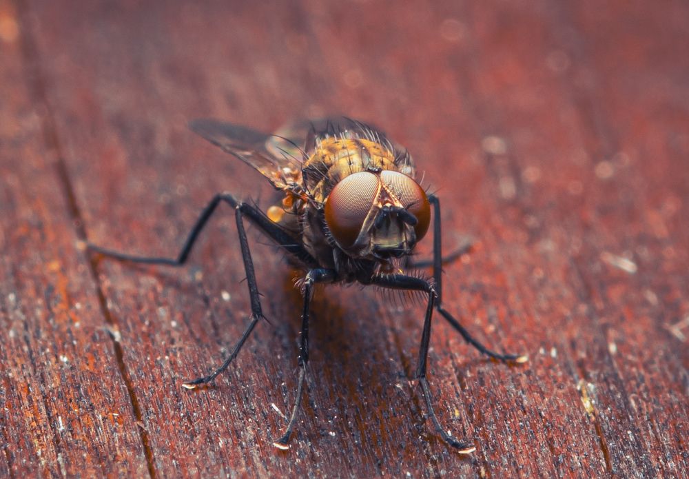 Photograph by Антон Парфентьев