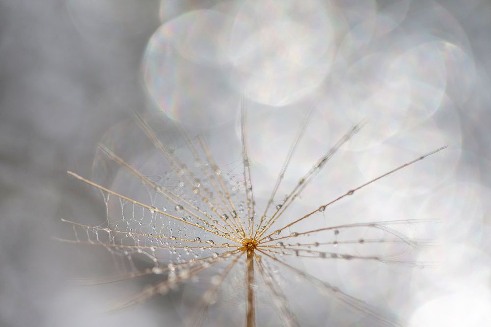 Photograph by Viktoryia Vinnikava