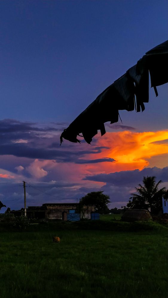 Фотография автора Nasif Ali Mondal