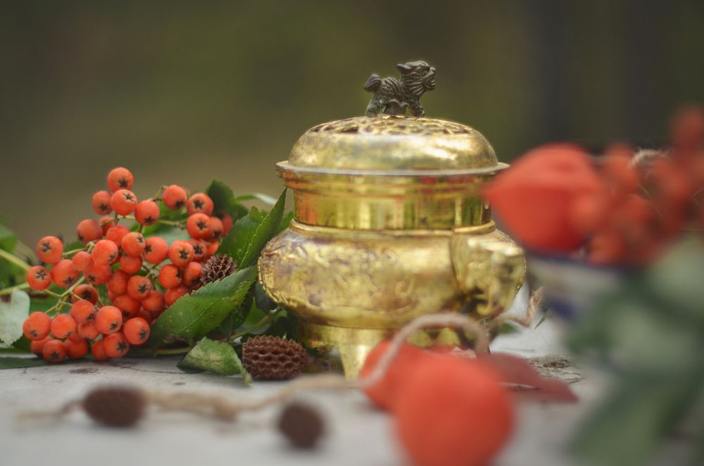 Photograph by Светлана Болотнова