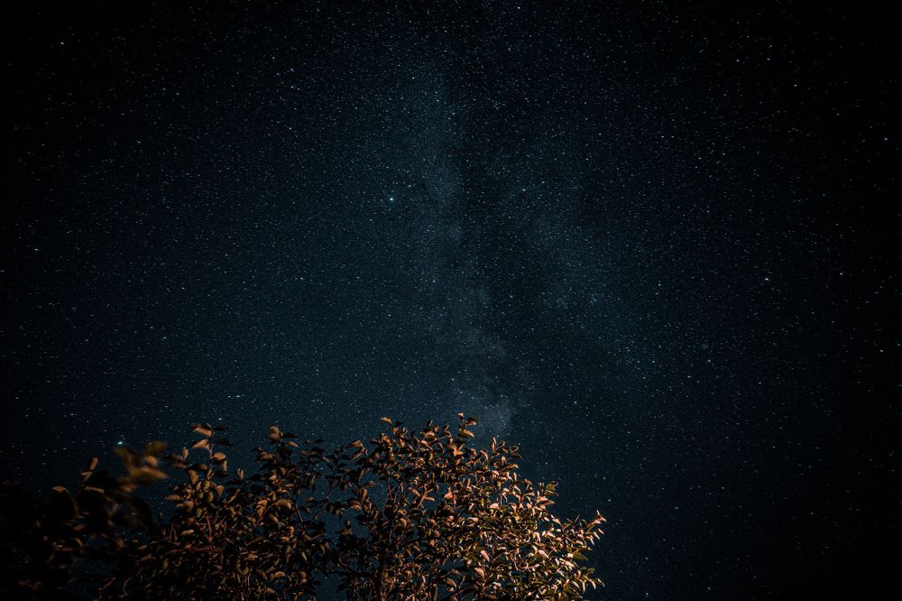 Photograph by Светлана Игнатьева