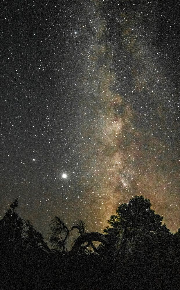 Photograph by Ирина Крепак