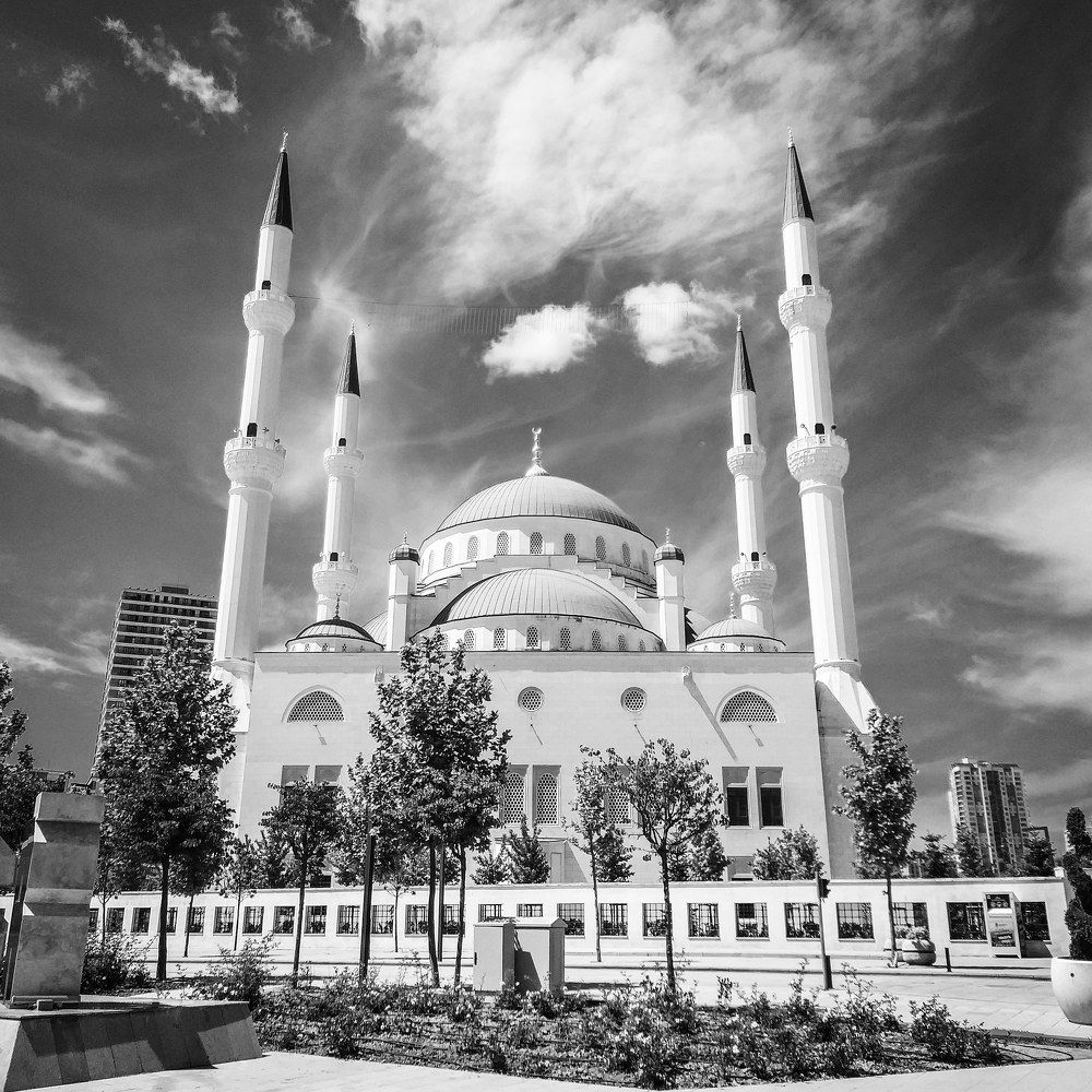 Photograph by Haitham Almoghrabi