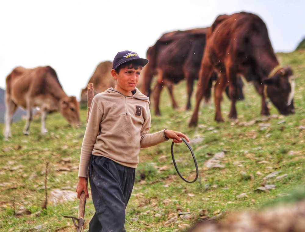 Photograph by kamiar hoseinipour