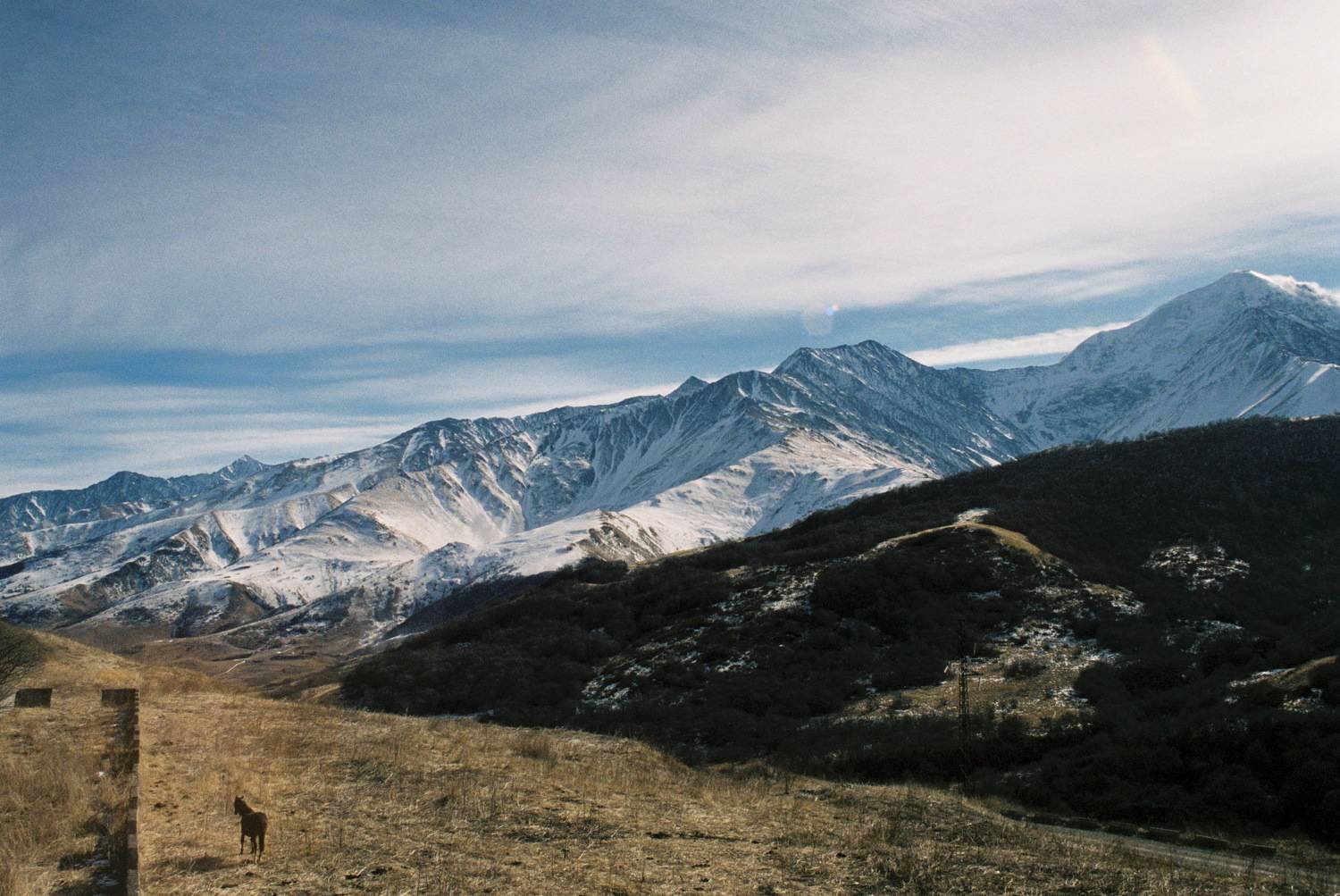 Photo #6431205