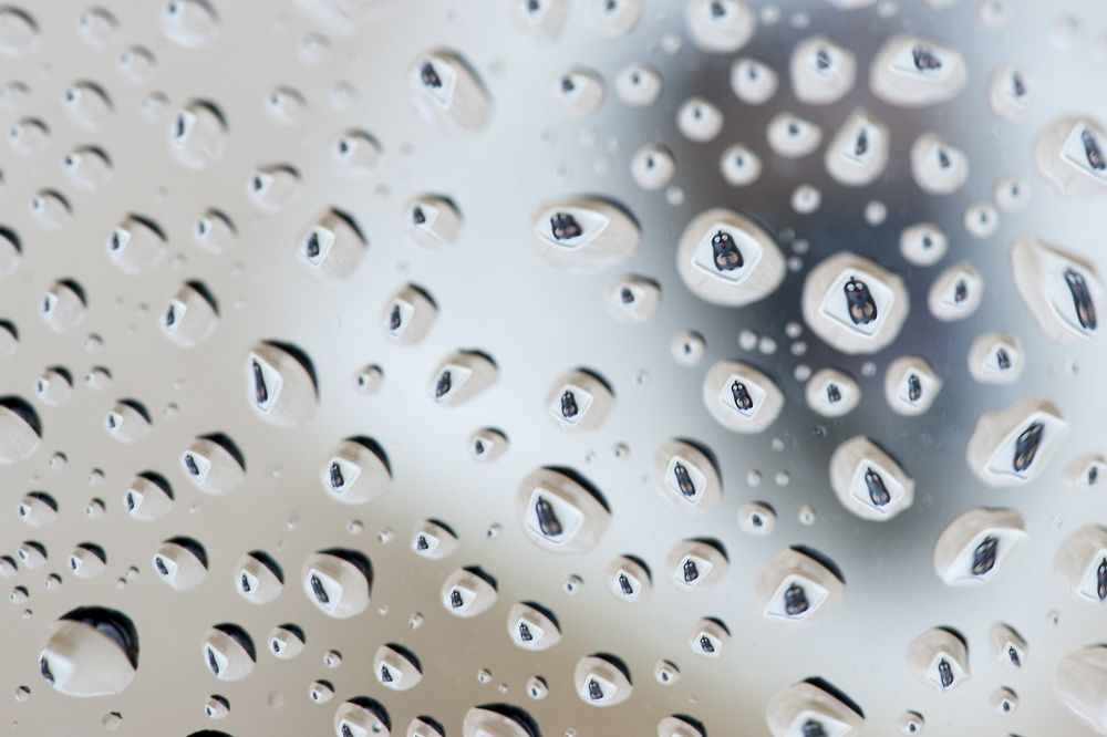 Photograph by Irina Grigoryeva