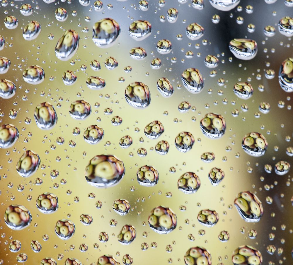 Photograph by Irina Grigoryeva