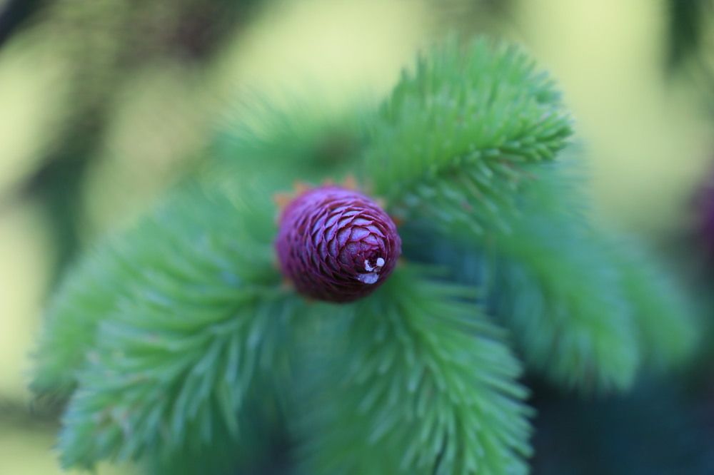 Photograph by Ольга Одаренко