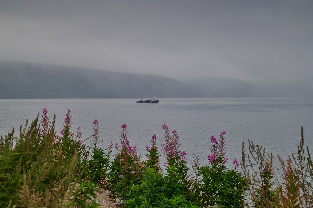 Хмурое утро.