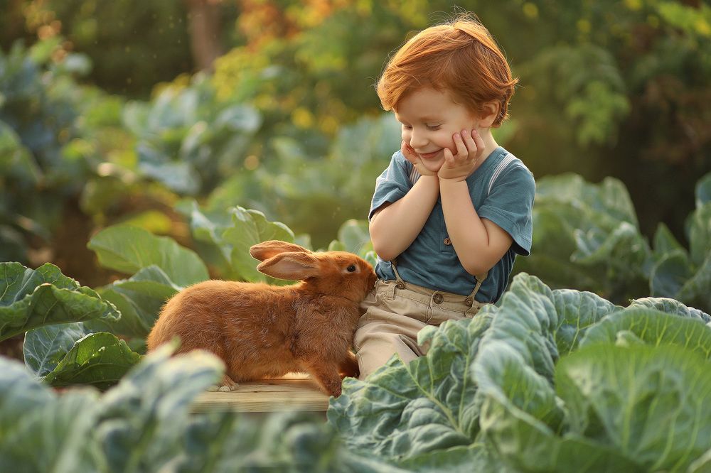 Фотография автора Полина Маслова