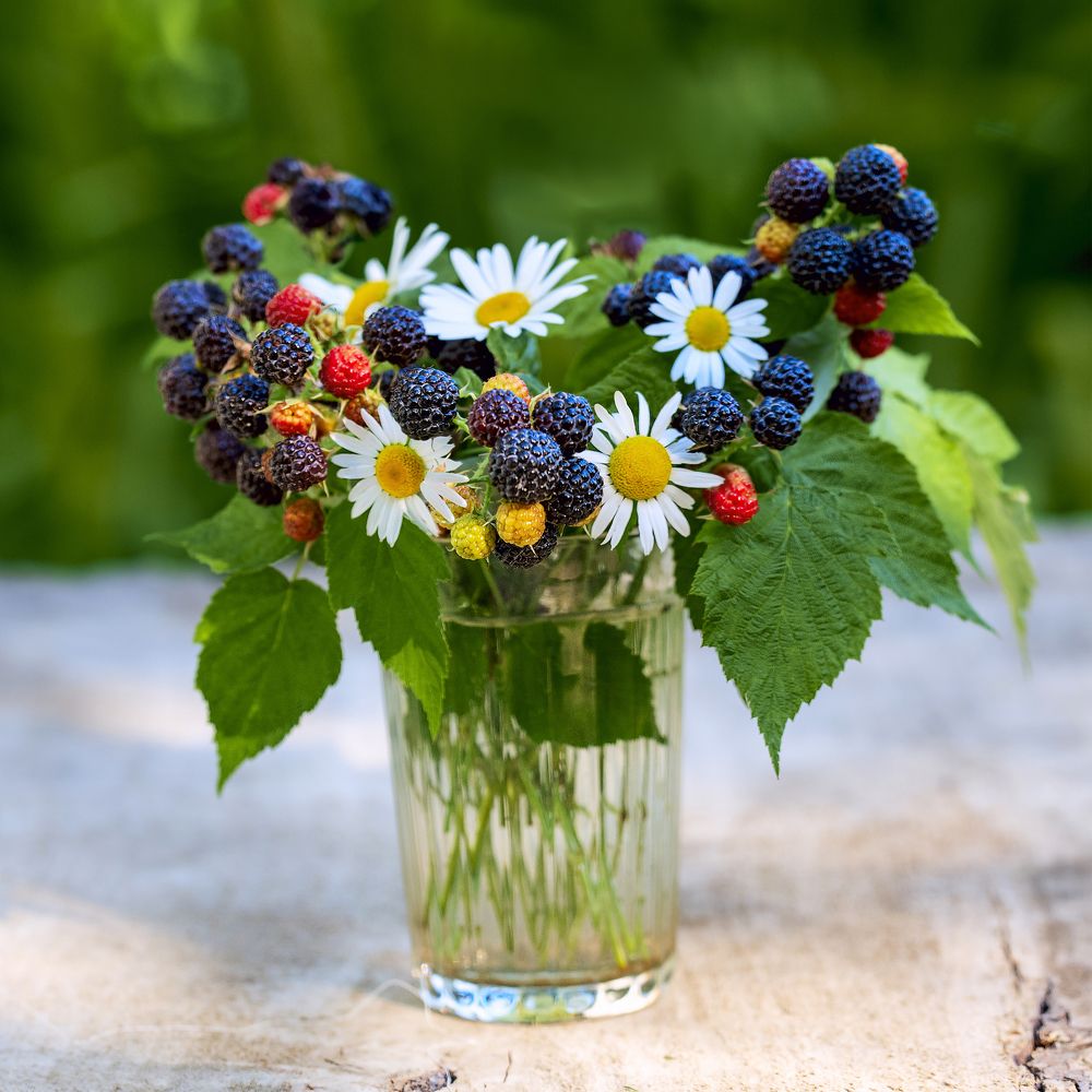 Летний букетик