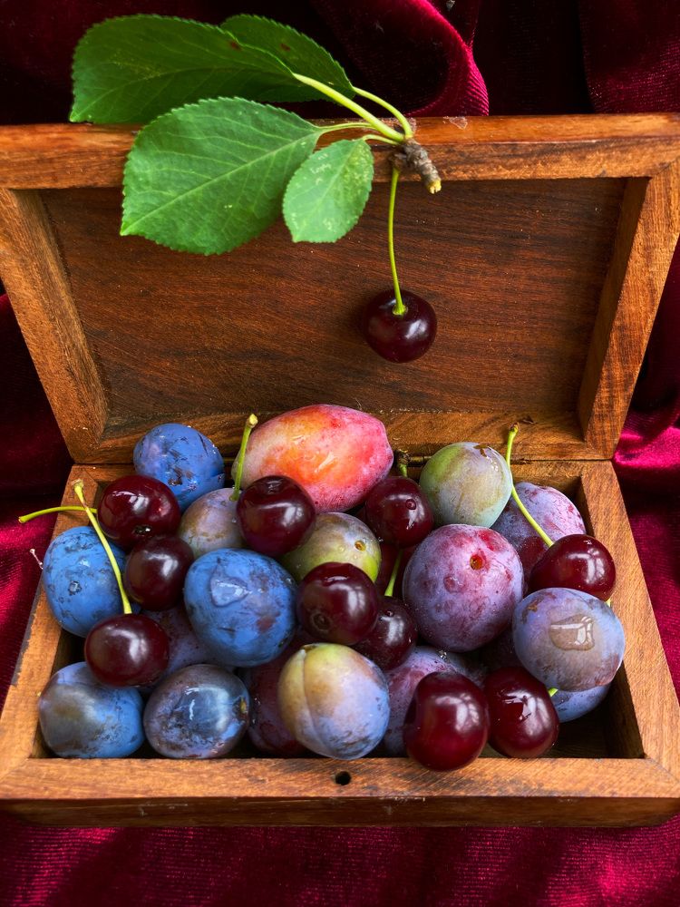 Дары природы