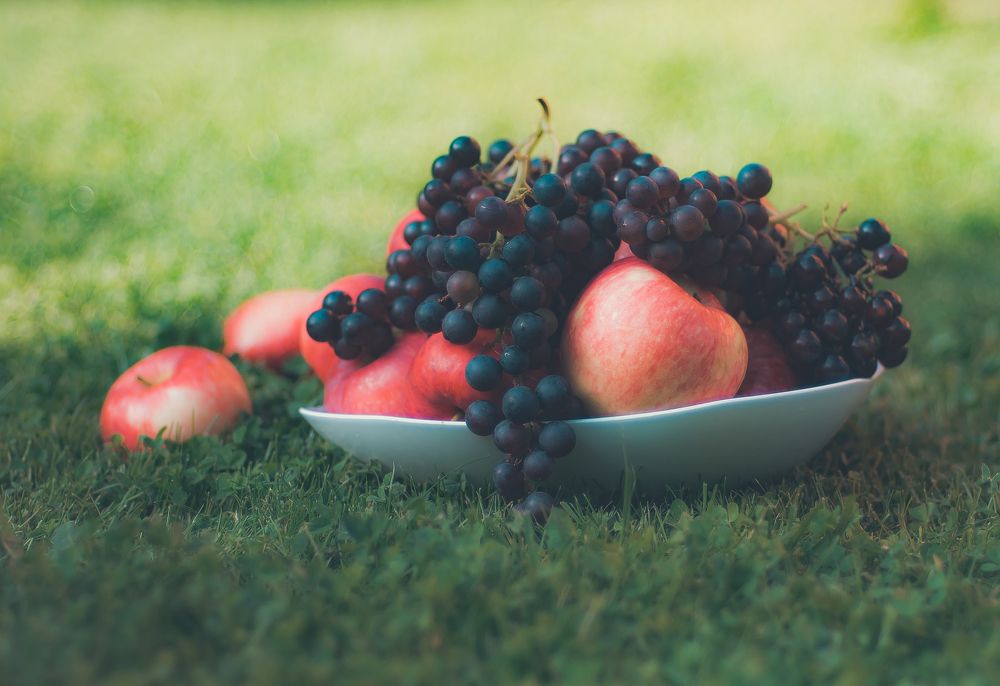 Photograph by Ekaterina Fadeeva