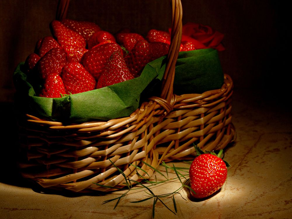 Photograph by Ekaterina Fadeeva