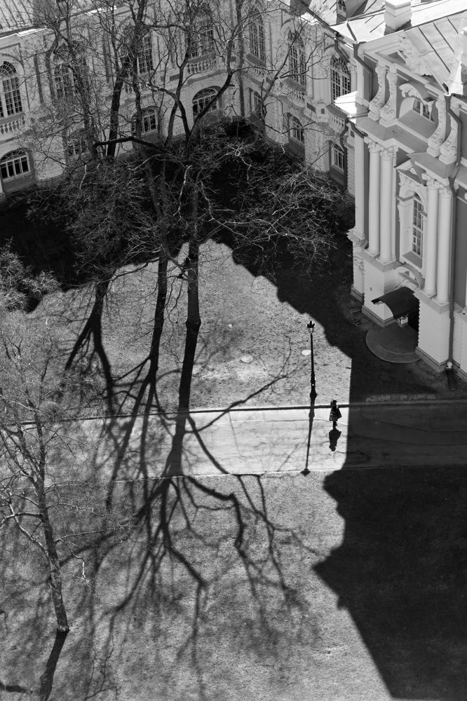 Фотография автора Larisa Meshkova