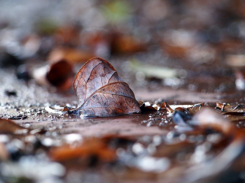 Photograph by Abdolreza Aleagha