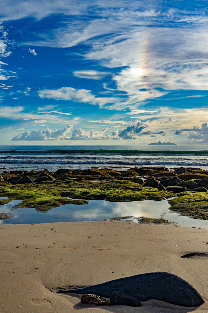 Photograph by 