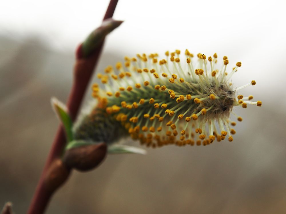 Photograph by Abdolreza Aleagha