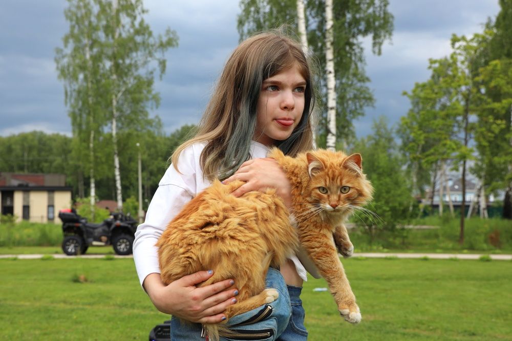 Фотография автора Елена Колосова