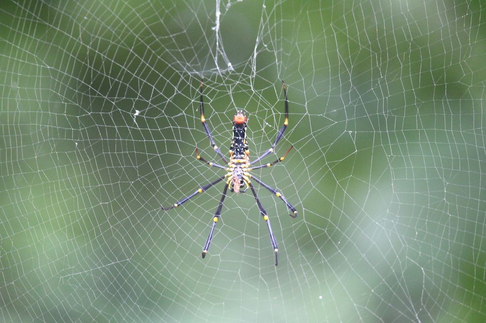 Photograph by Sharad vadoliya