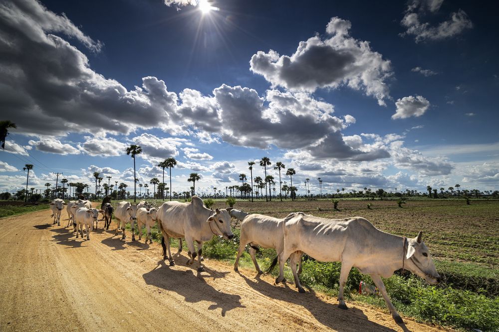Photograph by Kyaw Zin Win