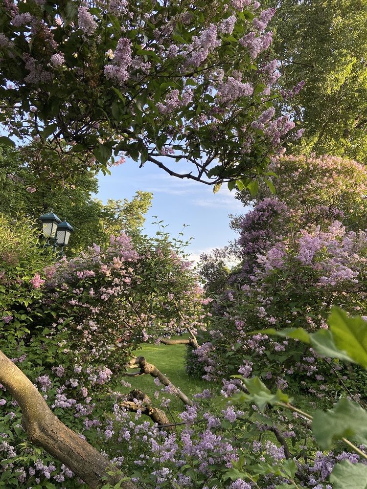 Photograph by Светлана