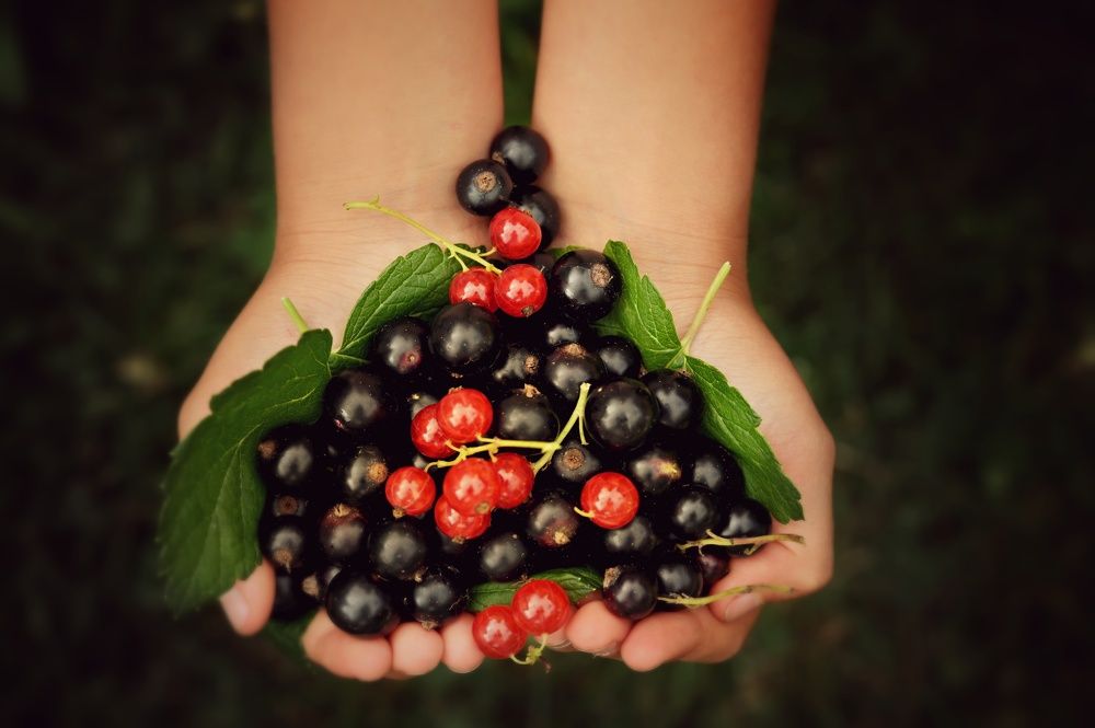 Photograph by Евгения Лушенкова