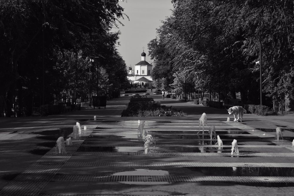 Photograph by Денис Козьяков