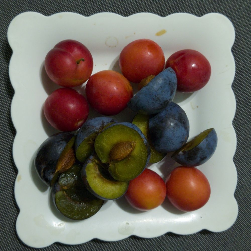 Photograph by Хачик Аджатян