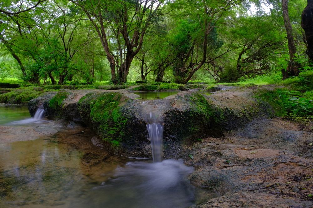 Photograph by Sanjoy Sengupta