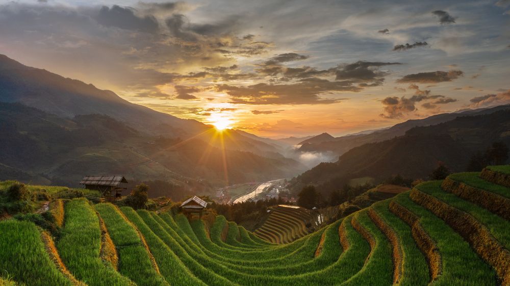 Photograph by Tô Long