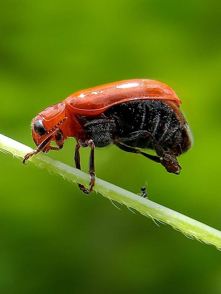 Photograph by Anupama Jayaprakash